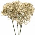 Floristik24 Keinotekoinen seljanmarjan kermavalkoinen koristekukkaoksa 52cm 4kpl