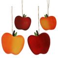 Floristik24 Rapu-omenat ripustettaviksi puna-keltaisella 9cm - 13cm 12kpl