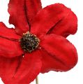 Floristik24 Puinen kukka tulpana punainen Ø9cm - 12cm L45cm 15kpl