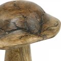 Floristik24 Puinen sieni kuviolla deco sieni luonnollinen, kultainen puu deco Ø10cm H13cm