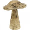 Floristik24 Puinen sieni kuviollinen puinen koristelusieni luonnollinen, kultainen Ø12,5cm H15cm