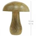 Floristik24 Puiset sieni luonnolliset, keltaiset syksyn deco puiset sienet 12×10cm