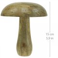 Floristik24 Puinen sieni luonnollinen, keltainen puinen koristelu syksyn deco sienet 15×13cm