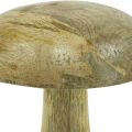 Floristik24 Puinen sieni luonnollinen, keltainen puinen koristelu syksyn deco sienet 15×13cm