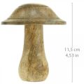 Floristik24 Puinen sieni uritettu puinen koristelu sieni mangopuu luonnollinen 11,5×Ø10cm