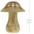 Floristik24 Puinen sieni uralla Syksyn deco sieni luonnon mangopuu 10×Ø8cm