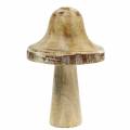 Floristik24 Puinen sieni luonnon / valkoinen K20cm