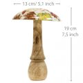 Puiset sienen deco syyslehdet valkoiset, värikäs syyskoristeet Ø13cm K19cm | Floristik24.fi