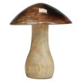 Puinen sienikuvio luonnonruskea kiiltoefekti Ø10cm H12cm