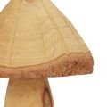 Floristik24 Puiset sienet koristeet sienet puukoristeet luonnollinen pöytäkoristeet syksy Ø11cm H28cm