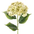 Floristik24 Keinotekoinen hortensiakukka pitkällä varrella ja lehdillä, 60 cm