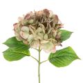 Floristik24 Keinotekoinen hortensia koristekukka varrella, 46cm