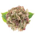 Keinotekoinen hortensia