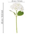 Tekohortensia pitkällä varrella koristeeksi, 48 cm | Floristik24.fi