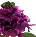Floristik24 Hortensia violetti 30cm 3kpl