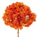 Floristik24 Hortensia, säilötty ja värjätty, suuri kukinto pitkällä varrella, 60 cm