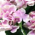 Floristik24 Silkkikukkia hydrangea ruukussa lila 35cm
