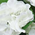 Floristik24 Hortensia kukkaruukussa Keinotekoinen valkoinen 35cm