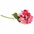 Floristik24 Keinotekoinen kukka hydrangea vaaleanpunainen 36cm