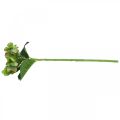 Floristik24 Keinotekoinen hortensia, kukkakoristeet, silkkikukkavihreä L44cm