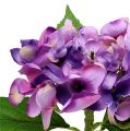 Floristik24 Hortensia violetti 33cm 1kpl