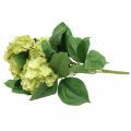 Floristik24 Hortensia tekovihreä tekokukkakimppu 5 kukkaa 42cm