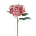 Floristik24 Hortensia keinotekoinen vaaleanpunainen ja vihreä puutarhakukka silmuilla 52cm