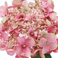 Floristik24 Hortensia keinotekoinen vaaleanpunainen ja vihreä puutarhakukka silmuilla 52cm