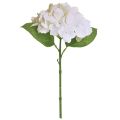 Floristik24 Hortensia Keinotekoiset Valkoiset Real Touch -kukat 33cm