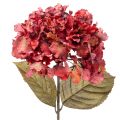 Floristik24 Keinotekoinen hortensian kukintaoksa, suuri kukinta, 74 cm
