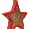 Floristik24 Joulukoristeita puinen tähti luonto / punainen 8cm 15kpl