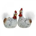 Floristik24 Pääsiäiskanat Funny Chicken Chickens Deco Ceramic 4kpl