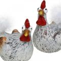 Floristik24 Pääsiäiskanat Funny Chicken Chickens Deco Ceramic 4kpl