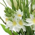 Floristik24 Kukkakimppu hyasinteista ja keinotekoisista tulppaaneista 34cm