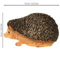 Siili-koristefiguuri syksy käsinmaalattu ruskea 14 × 9,5 × 9 cm | Floristik24.fi