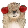 Floristik24 Hedgehog-keraaminen kuvio, ruskea omena 7,5 cm