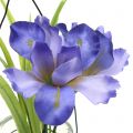 Floristik24 Iris lila lasissa ripustettavaksi H21.5cm