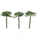 Floristik24 Keinotekoiset mehevät deco keinotekoiset kasvit vihreät 11×8,5cm 3kpl