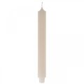 Floristik24 Kynttilä pitkä pöytä kynttilänvarsi kynttilän kerma Ø3cm K29cm