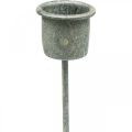 Floristik24 Plug-in kynttilänjalka Shabby Chic harmaa Ø3cm K8,5cm 8 kpl
