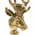 Floristik24 Antiikkisen näköinen kynttilänjalka peuran pää kultainen metalli 19,5cm