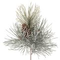 Floristik24 Keinotekoinen männynoksa käpyillä, talvinen, 40 cm