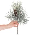 Keinotekoinen männynoksa käpyillä, talvinen, 40 cm | Floristik24.fi