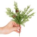Keinotekoinen männynoksa käpyineen, 28 cm, 6 kpl | Floristik24.fi