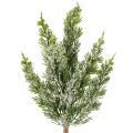 Floristik24 Keinotekoisesti lumen peittämä männynoksa kukka-asetelmiin ja adventtikoristeisiin, 40 cm, 3 kpl