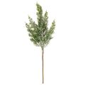 Keinotekoisesti lumen peittämä