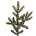 Floristik24 Keinotekoinen kuusenoksa pöytäkoristeeseen ja asetelmiin, 45 cm, 3 kpl