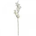 Floristik24 Kirsikanoksa valkoinen tekojousikoriste koristeoksa 110cm