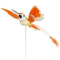 Floristik24 Kolibri lanka kiinni vaaleanpunainen, oranssi 17cm 6kpl