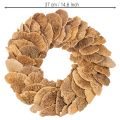 Puunsienikranssi, luonnonvärinen, oven tai seinän koristeeksi, 37 cm | Floristik24.fi